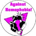 Against homophobia 2 (pink)