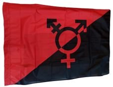 Fahne "Antitransphobic"